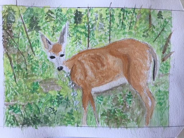 photo of deer drawing