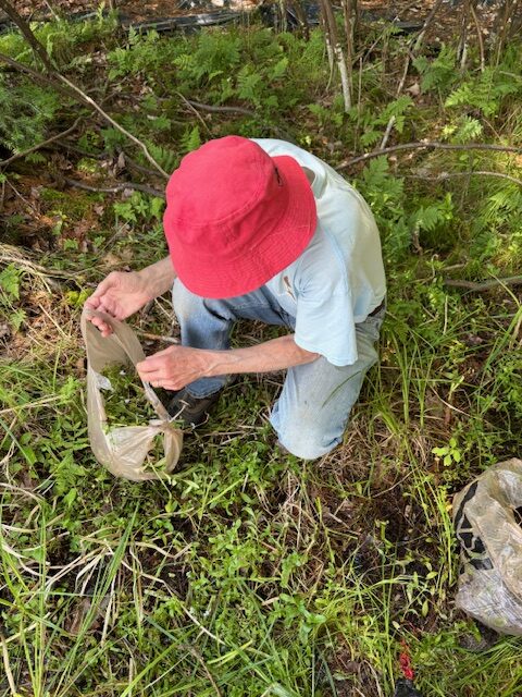 photo of man with plants