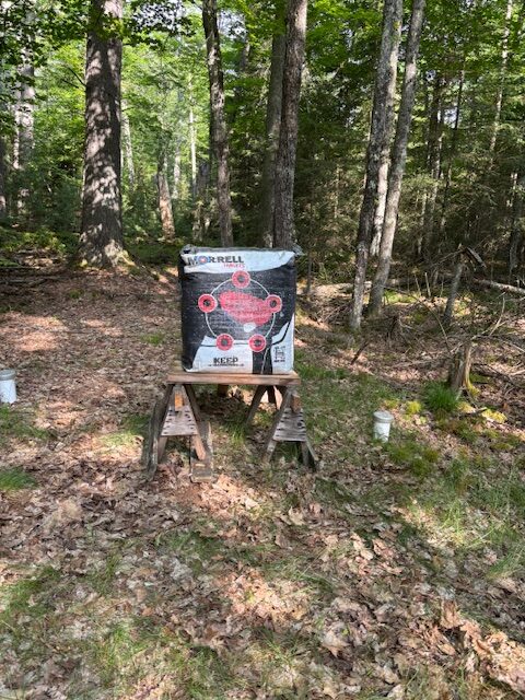 archery target in woods