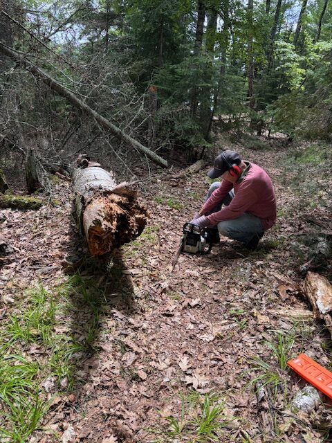 photo of man with chainsaw and a log