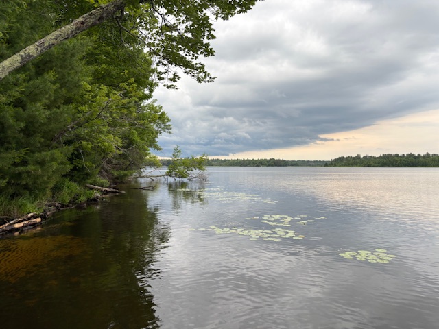 photo of the lake shore at evening time.