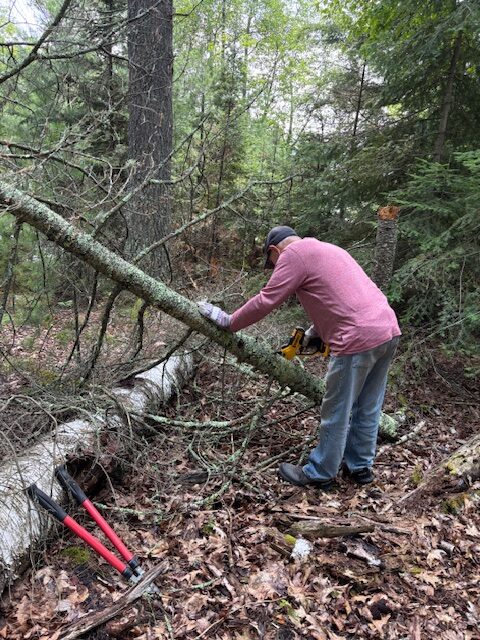 Man sawing log and clipping tree