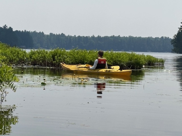 boy in kayak near bogs