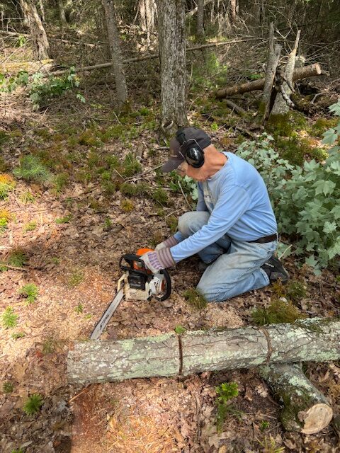 man sawing a tree into smaller pieces