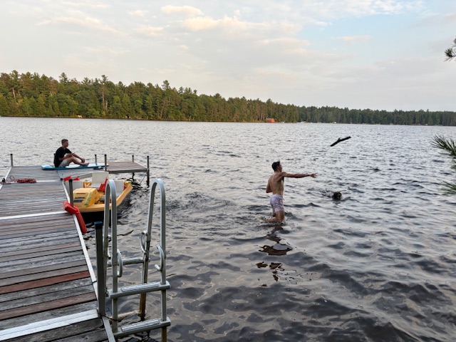 man throwing stick in water for Rey to retrieve