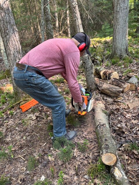 man sawing tree