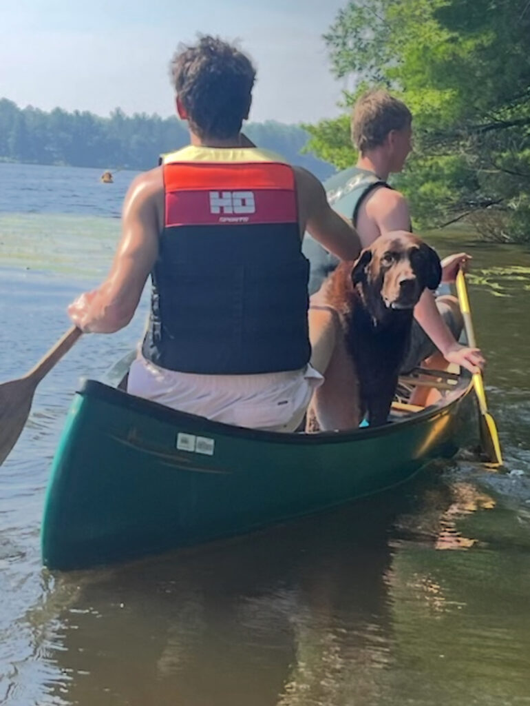 two boys and a dog looking back in a canoe