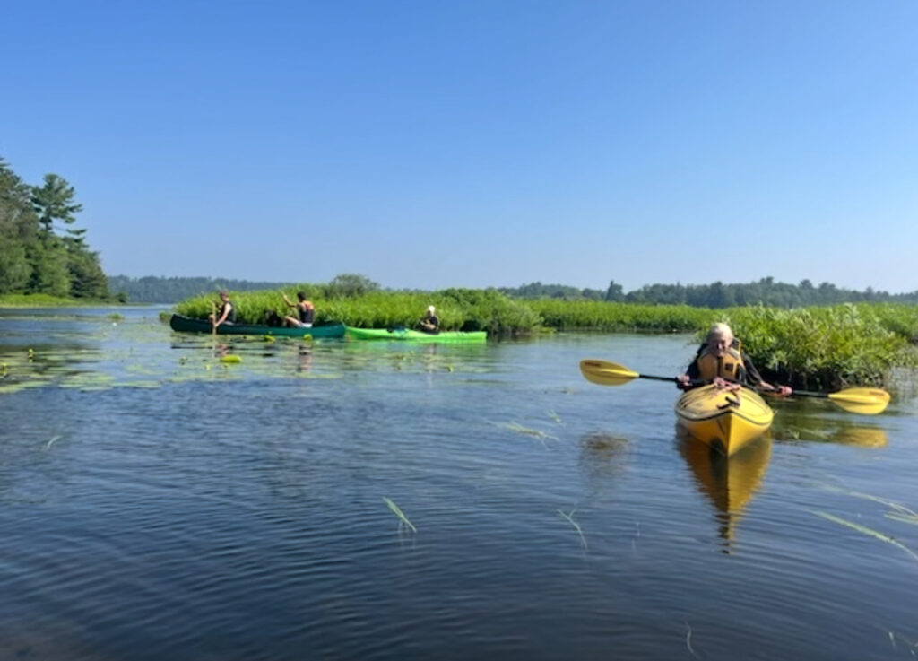 kayaks and canoe near bogs