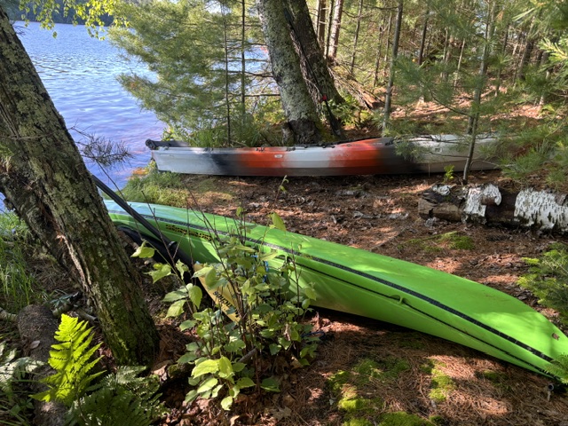 photo of kayaks on lake shore