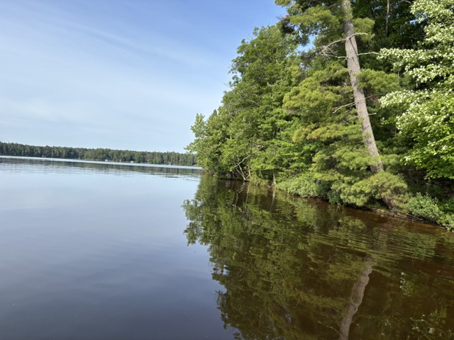 photo of lake shore