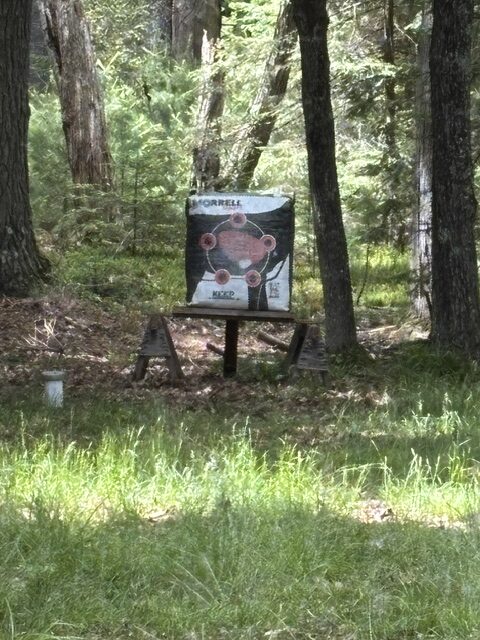 archery target