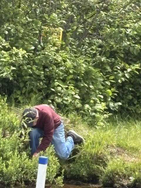 man picking flowers