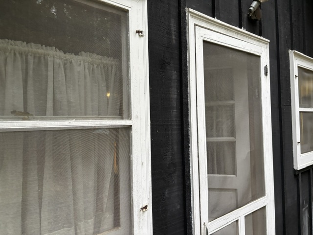 photo of back windows