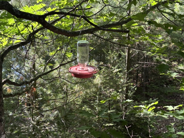 humming bird feeder