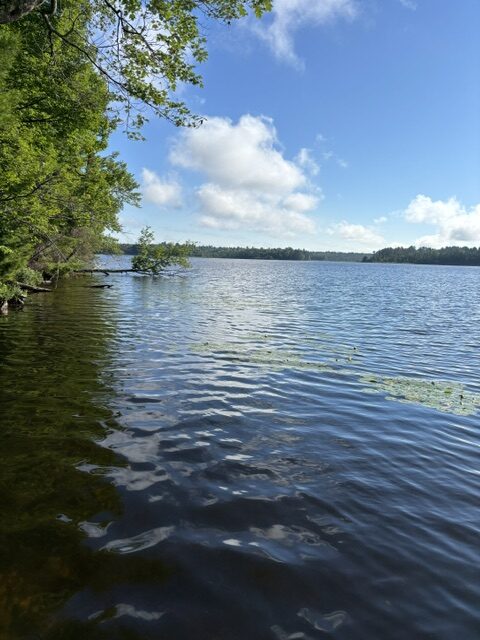 photo of lake shore