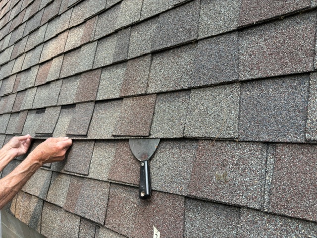 shingles