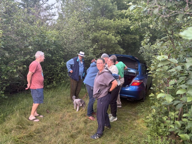 arrival of family