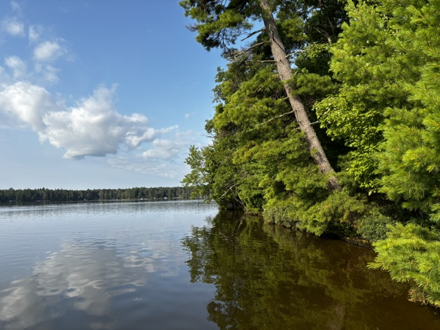 lake shore with reflections