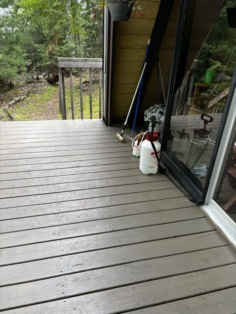 photo clean deck